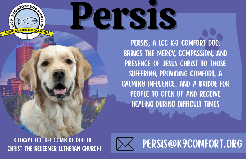 Persis — LCC K-9 Comfort Dog